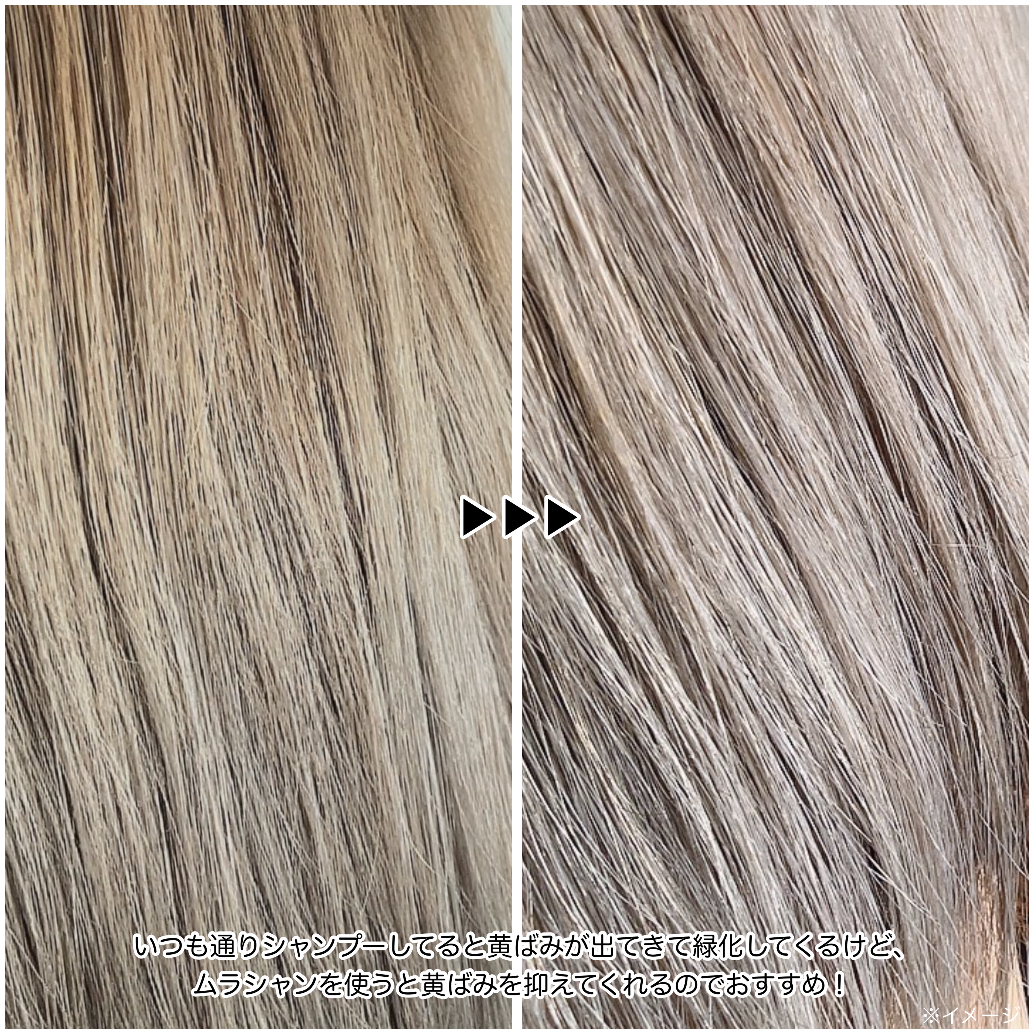 Tottimo! カラーシャンプー/アイケイ/市販シャンプーを使ったクチコミ（2枚目）