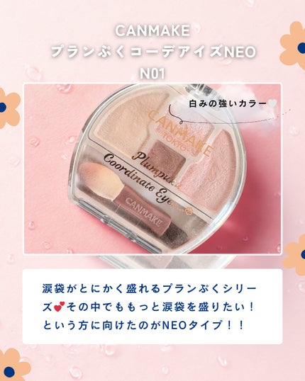 プランぷくコーデアイズNeo/キャンメイク/アイシャドウを使ったクチコミ(2枚目)