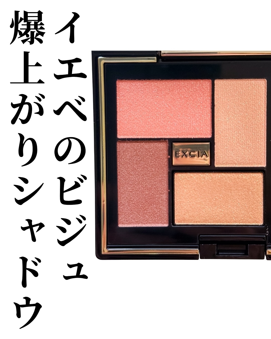 エクシア アイカラー ヴォロンテ/ALBION/アイシャドウパレットを使ったクチコミ（2枚目）