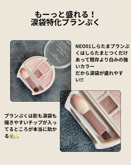 プランぷくコーデアイズNeo/キャンメイク/アイシャドウを使ったクチコミ(3枚目)