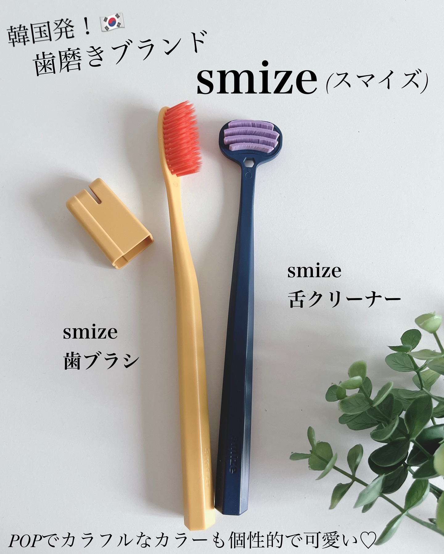 SMIZE 歯ブラシ/SMIZE/歯ブラシを使ったクチコミ（2枚目）