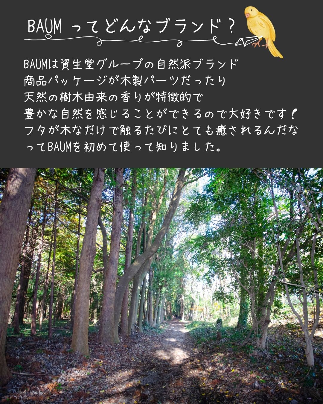 アロマティック ハンドウォッシュ/BAUM/ハンドソープを使ったクチコミ（2枚目）