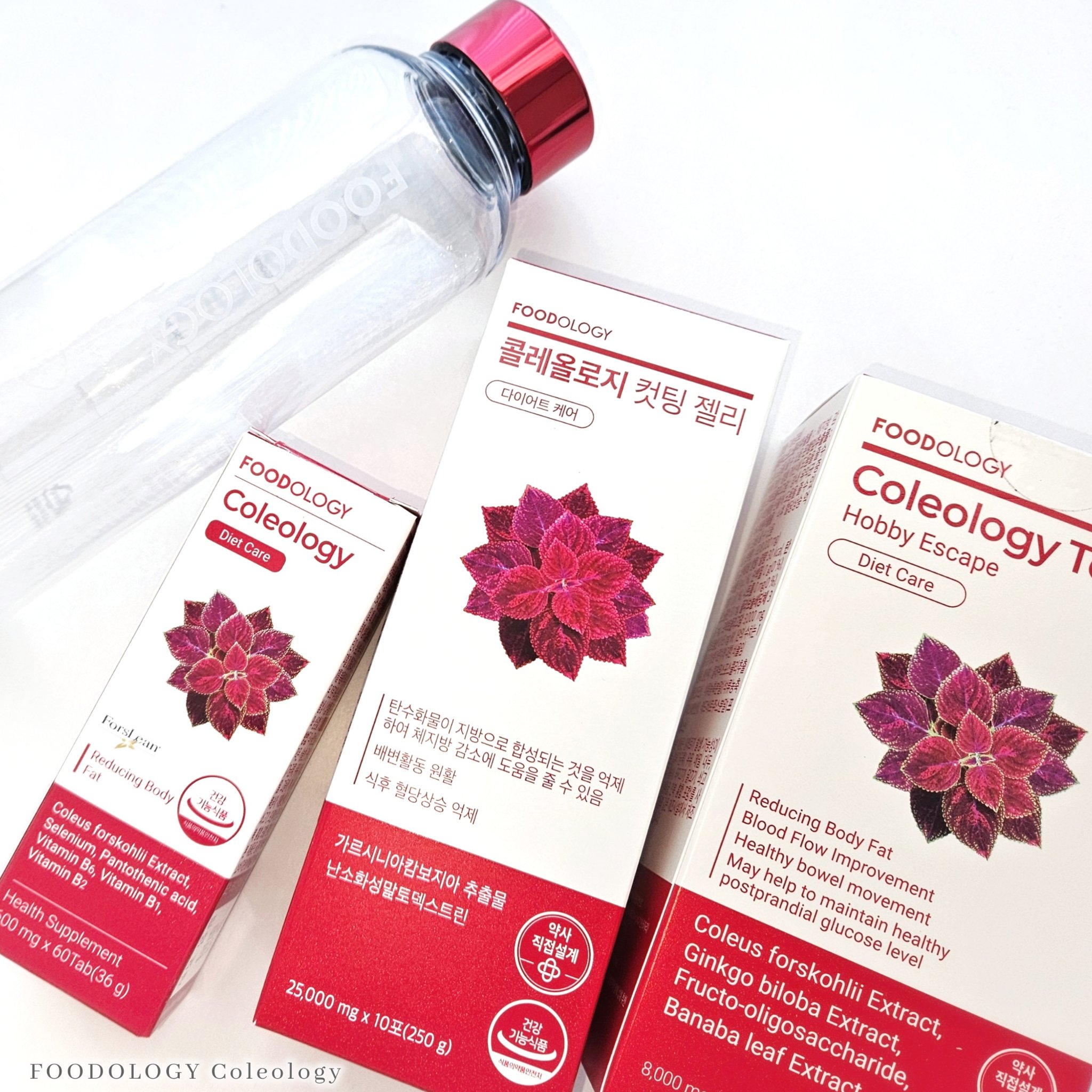 コレオロジーティー/FOODOLOGY/ドリンクを使ったクチコミ（2枚目）