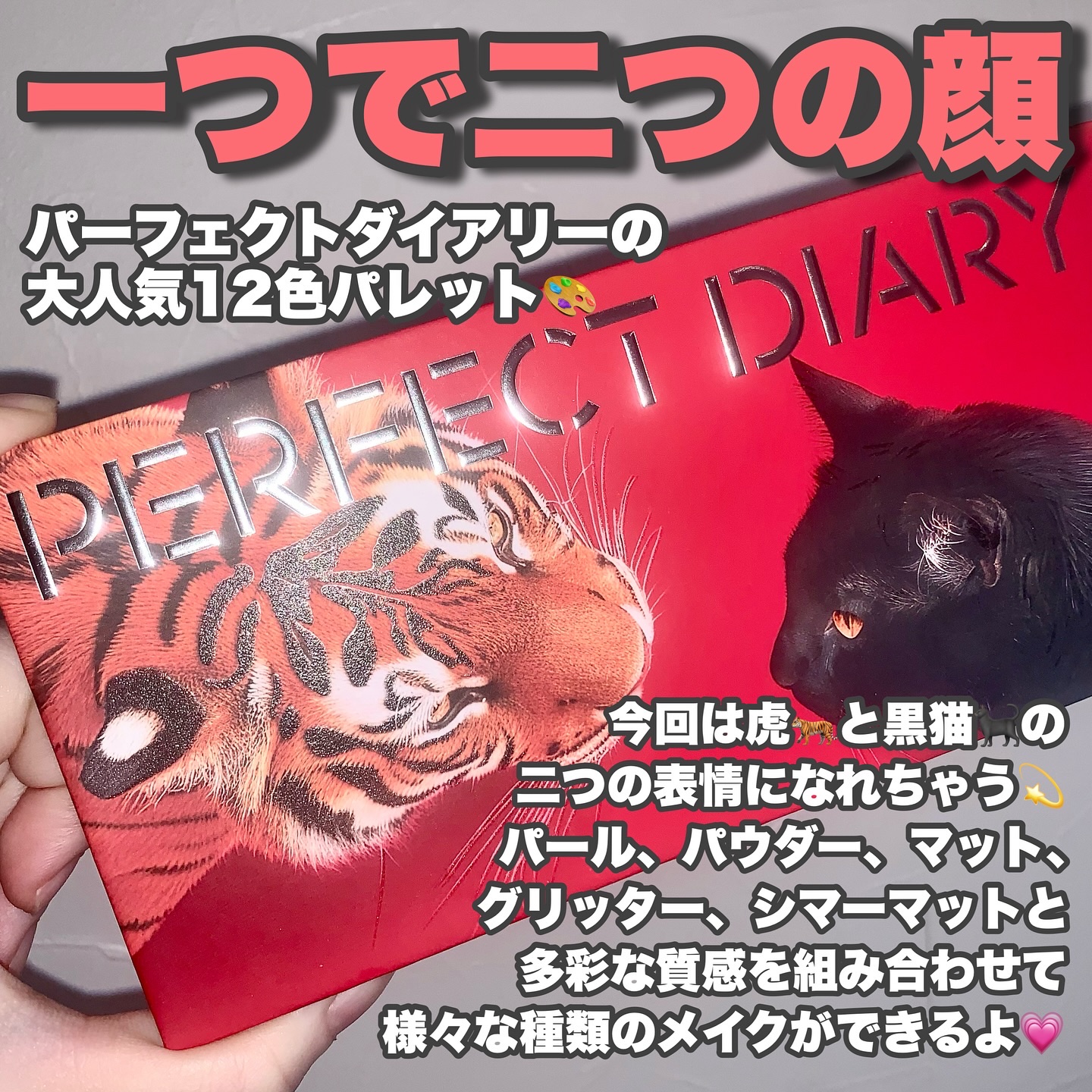 エクスプローラ12色 動物アイシャドウパレット/PERFECT DIARY/アイシャドウパレットを使ったクチコミ（2枚目）