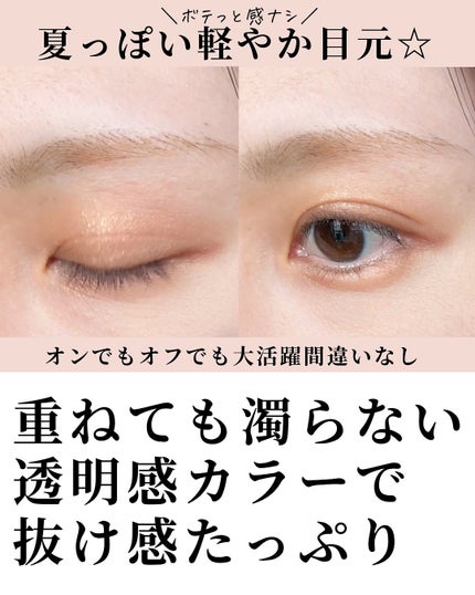 エクシア アイカラー ヴォロンテ/ALBION/アイシャドウパレットを使ったクチコミ(4枚目)