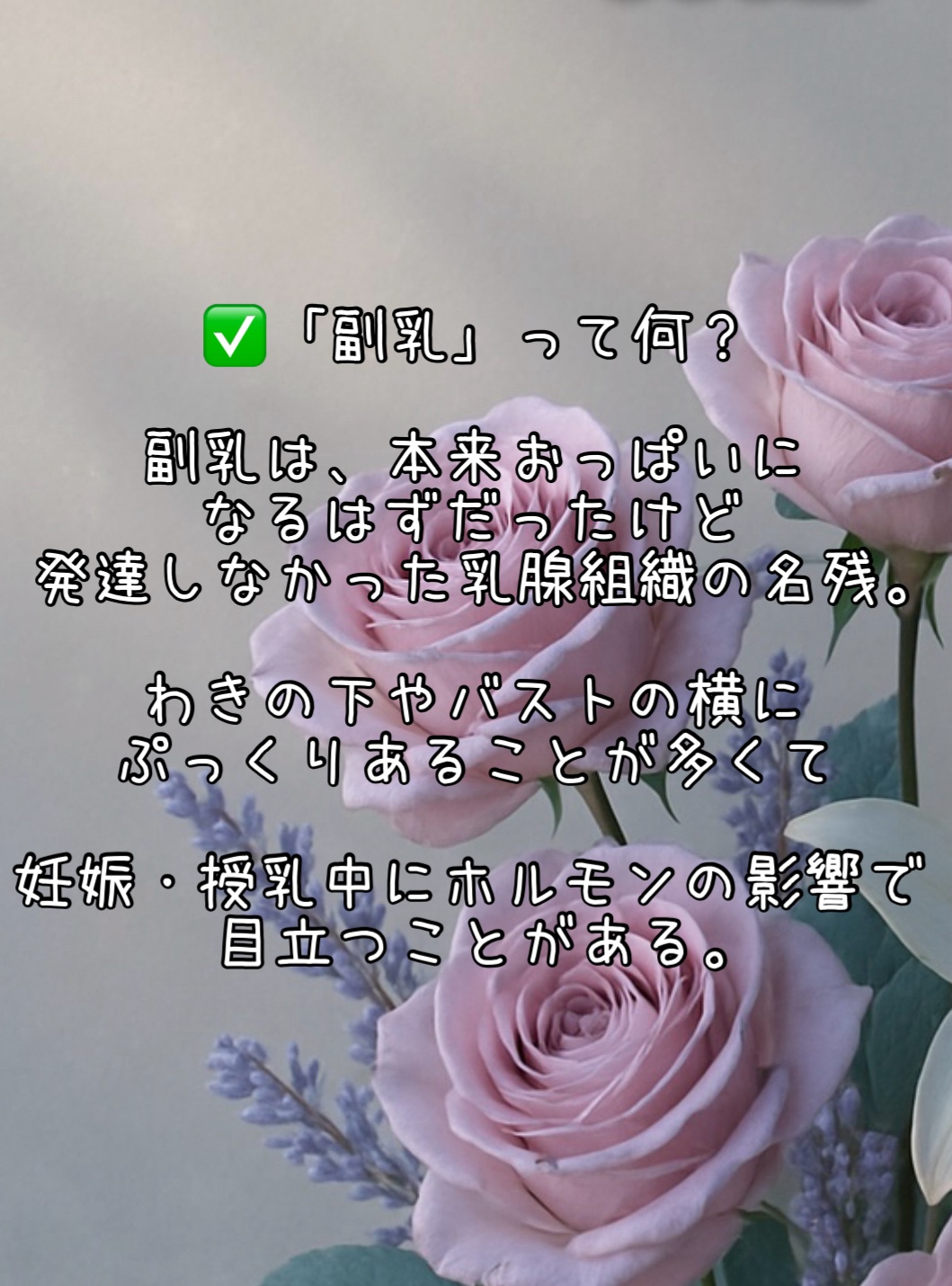 ふんわりルームブラ/Angellir/ナイトブラを使ったクチコミ（2枚目）