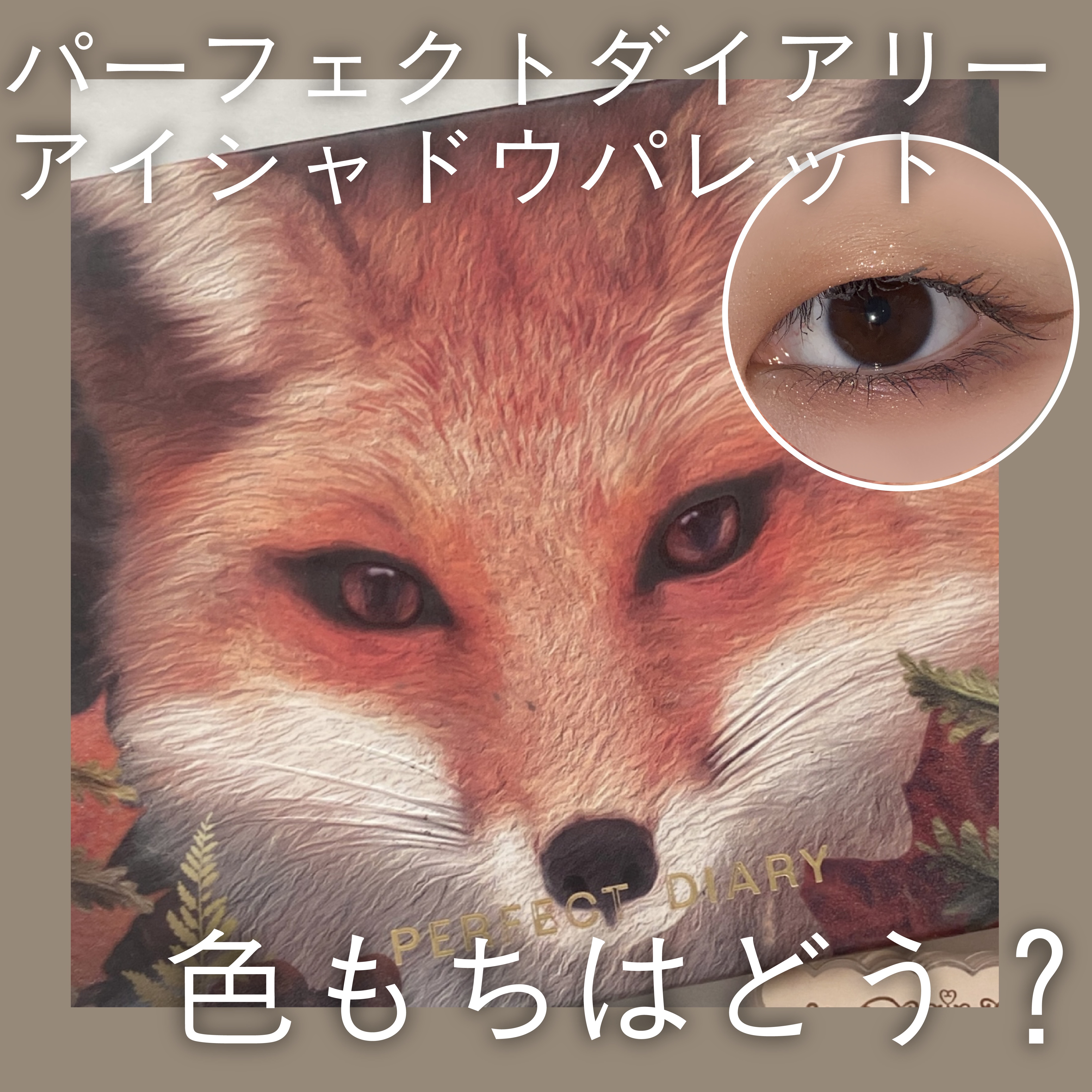 エクスプローラ12色 動物アイシャドウパレット/PERFECT DIARY/アイシャドウパレットを使ったクチコミ（1枚目）