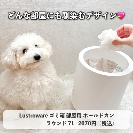 重曹つるつる風呂/毛穴撫子/炭酸系入浴剤を使ったクチコミ(4枚目)