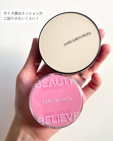 アーティストクッションブラッシュ/JUNG SAEM MOOL/リキッドチークを使ったクチコミ(5枚目)