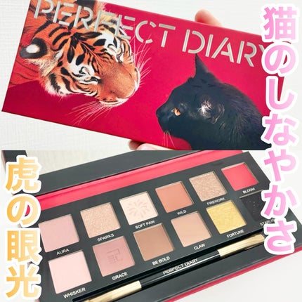 エクスプローラ12色 動物アイシャドウパレット/PERFECT DIARY/アイシャドウパレットを使ったクチコミ(1枚目)
