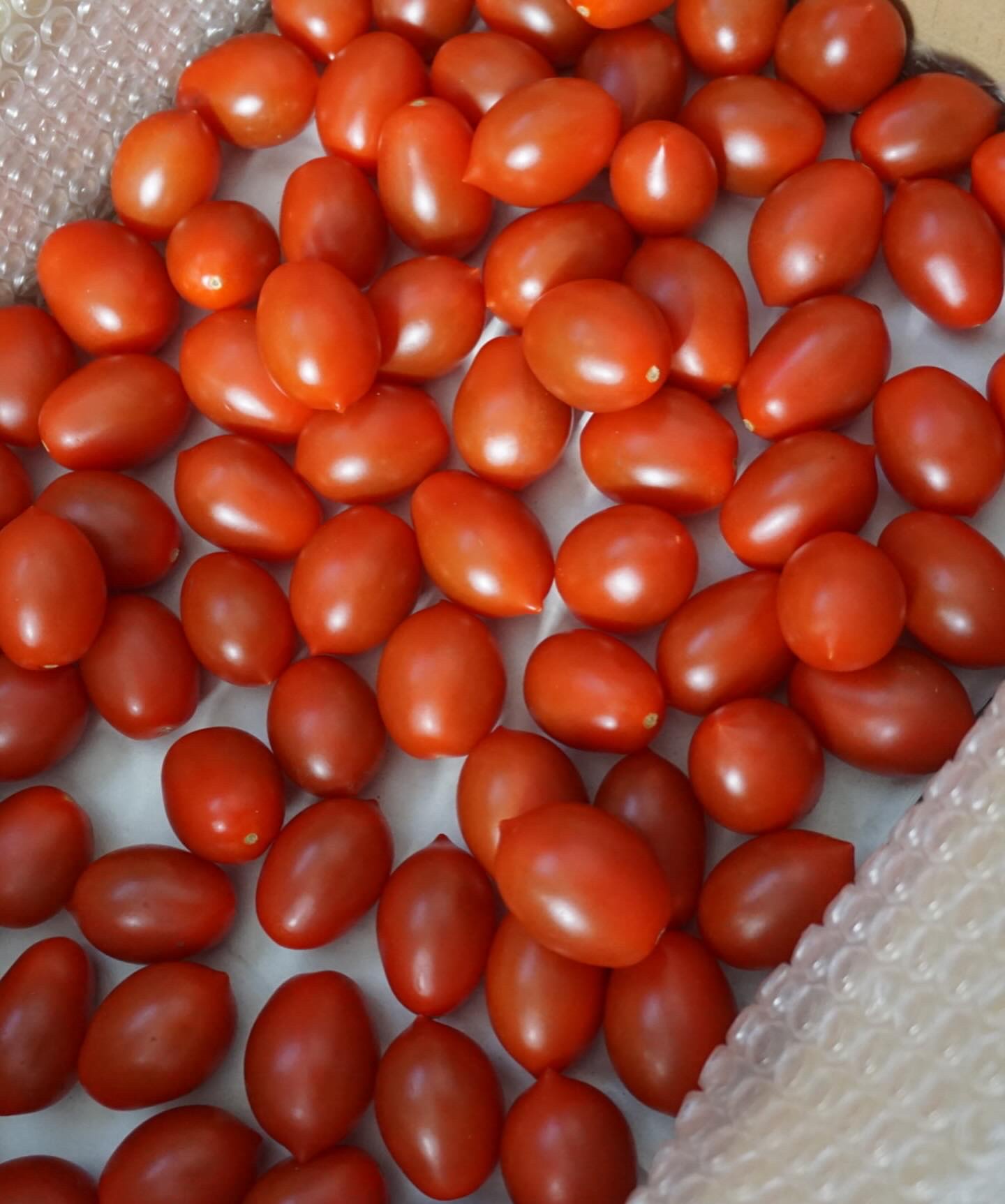 ハイギャバトマト/青空トマト学園/その他食品を使ったクチコミ（3枚目）