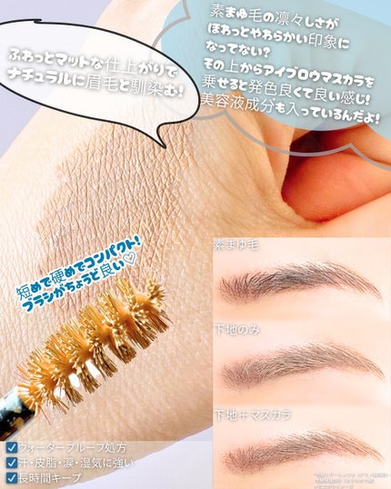 エテュセ アイエディション(ブロウコンシーラー)/ettusais/その他アイブロウを使ったクチコミ(5枚目)