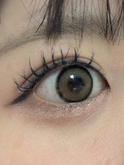 フルブルームグロウパレット/mude/アイシャドウパレットを使ったクチコミ(6枚目)