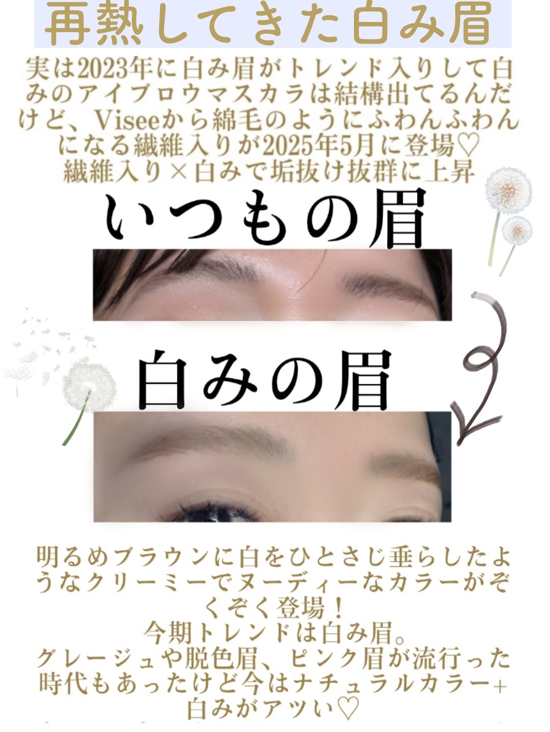 フラッフデザイン アイブロウカラー/Visée/眉マスカラを使ったクチコミ（3枚目）