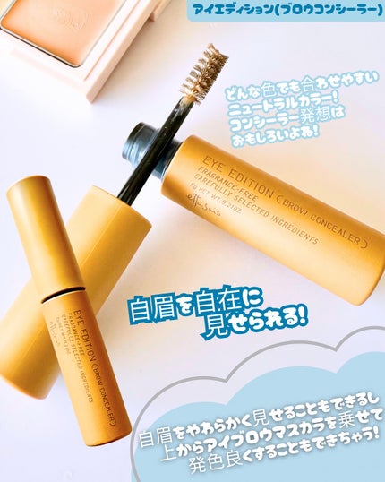 エテュセ アイエディション(ブロウコンシーラー)/ettusais/その他アイブロウを使ったクチコミ(4枚目)