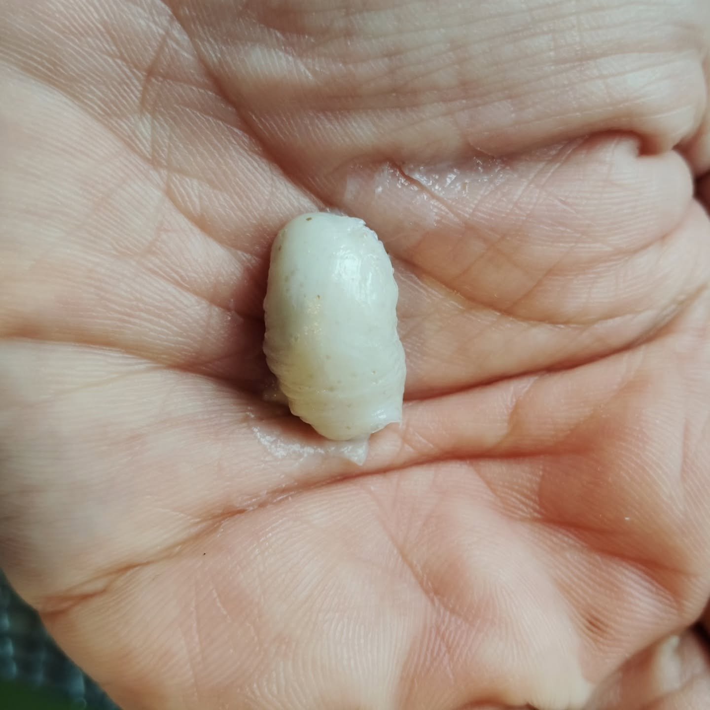 緑豆弱酸性洗顔フォーム/beplain/洗顔フォームを使ったクチコミ（2枚目）