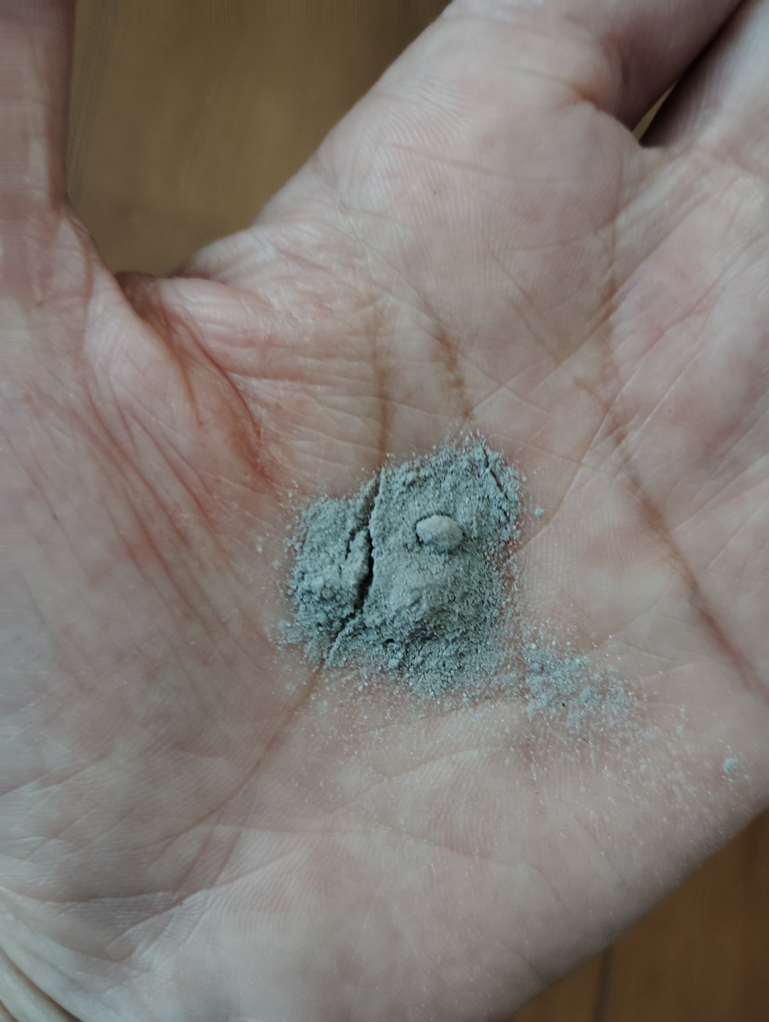 THE ティーツリー ポア パウダーウォッシュ/MEDIHEAL/洗顔パウダーを使ったクチコミ（3枚目）