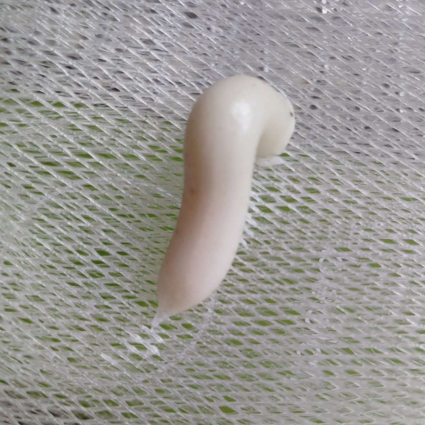 緑豆弱酸性洗顔フォーム/beplain/洗顔フォームを使ったクチコミ（3枚目）