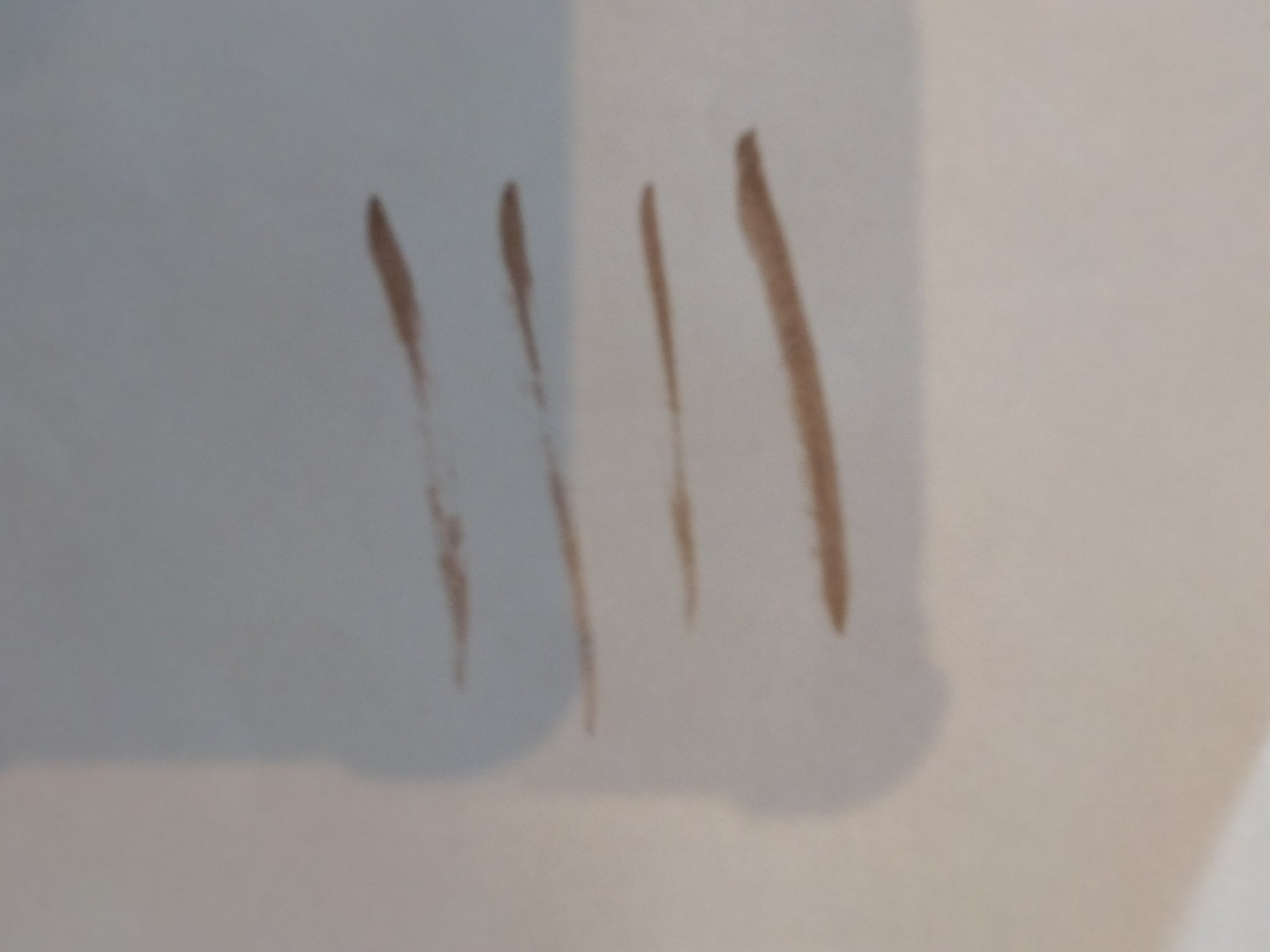 DULAB リキッドアイブロウ/DULAB/リキッドアイブロウを使ったクチコミ（3枚目）