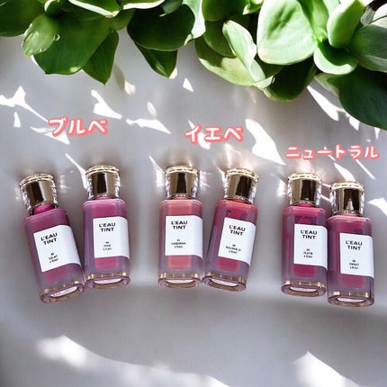 ローティント/BBIA/リップティントを使ったクチコミ(2枚目)