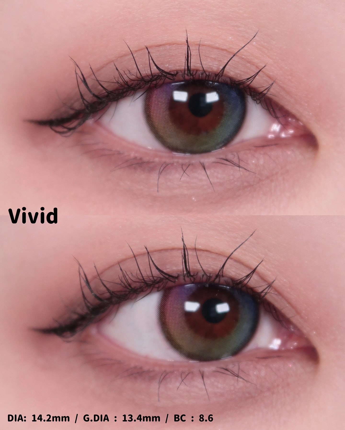 Lollipop/MIMIC LENS/１ヶ月（１MONTH）カラコンを使ったクチコミ（3枚目）