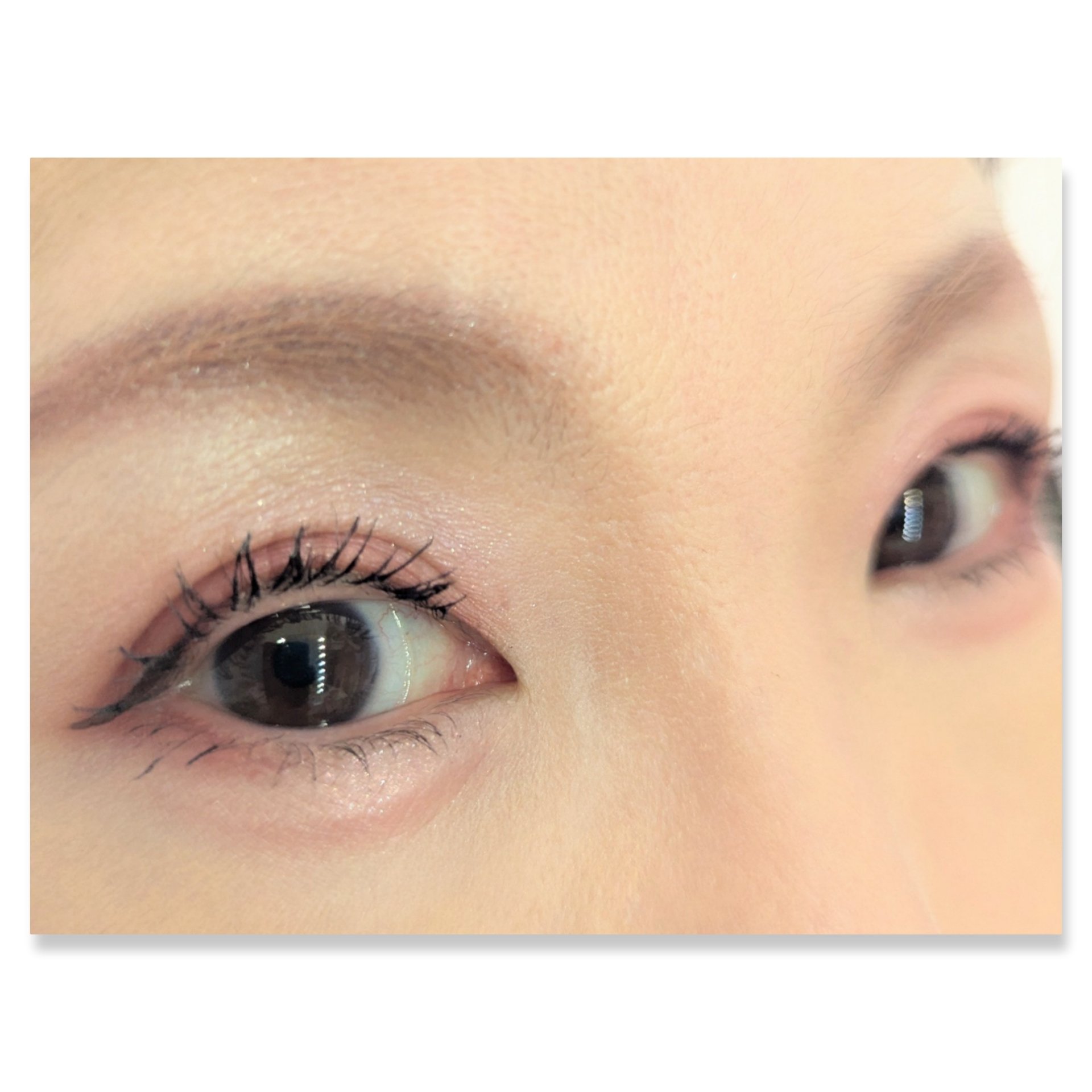 フーミー　リリュタンパレット/WHOMEE/アイシャドウパレットを使ったクチコミ（2枚目）