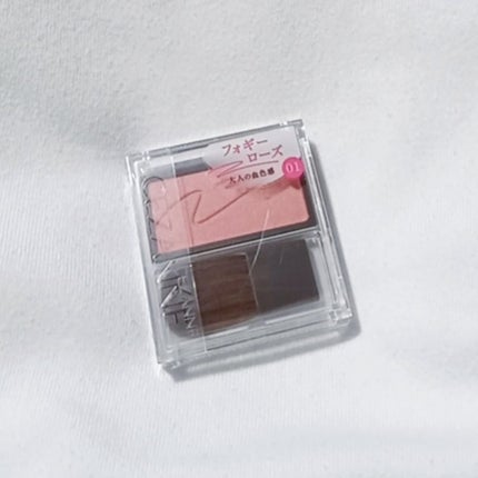 チークブラッシュ/CEZANNE/パウダーチークを使ったクチコミ(1枚目)