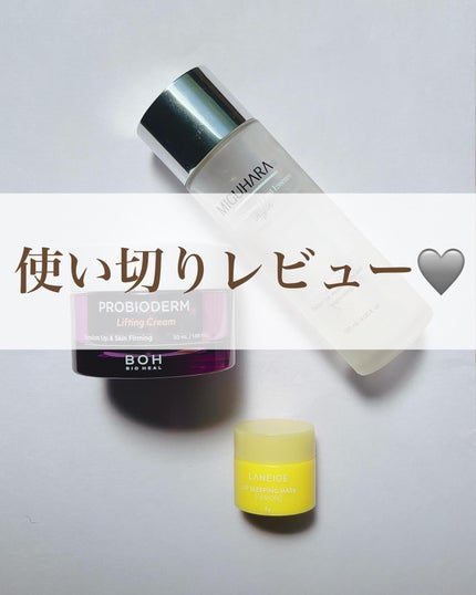 リップスリーピングマスク/LANEIGE/リップバームを使ったクチコミ(1枚目)