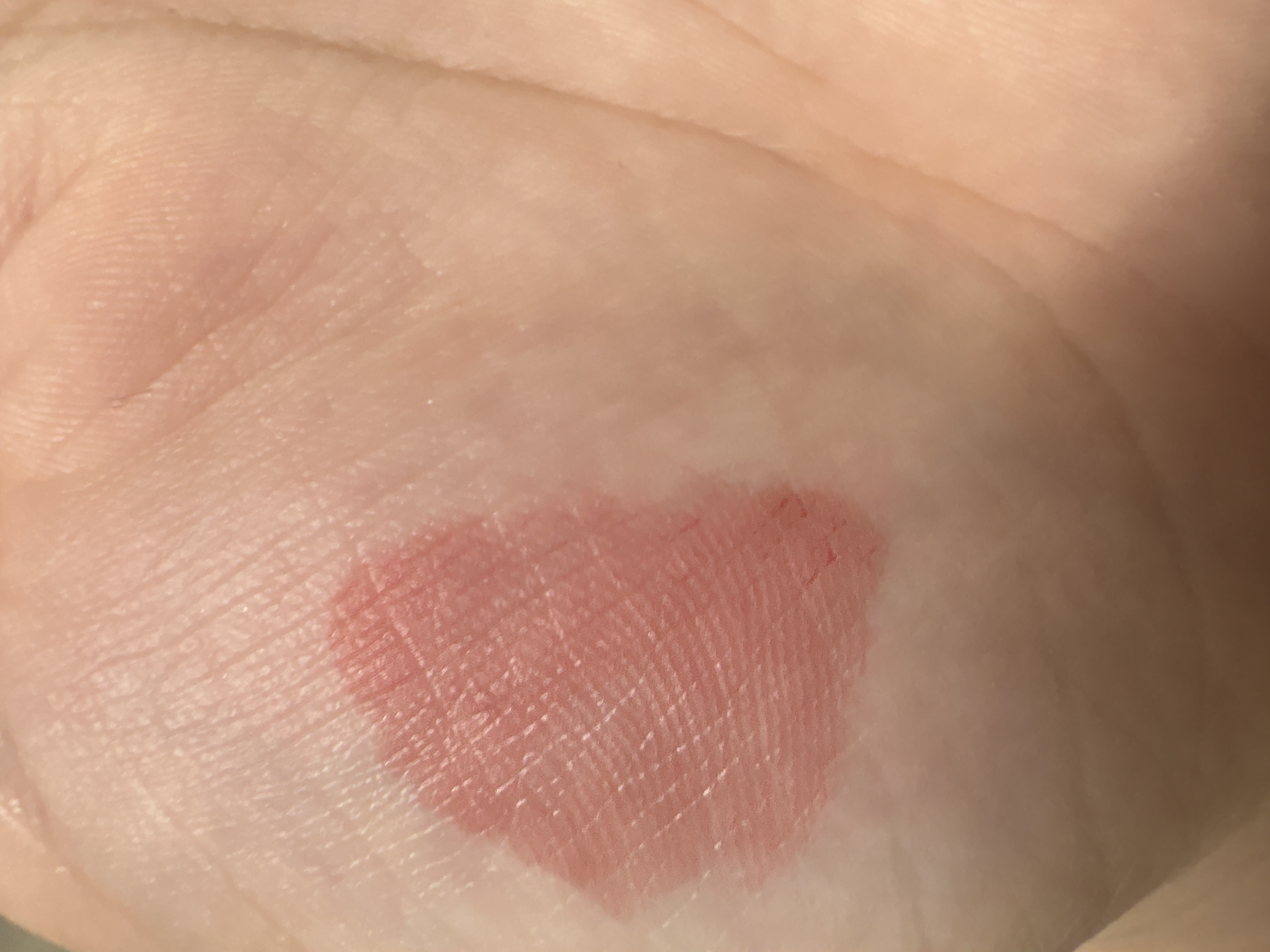 ジューシーリップティント/キャンメイク/口紅を使ったクチコミ（2枚目）