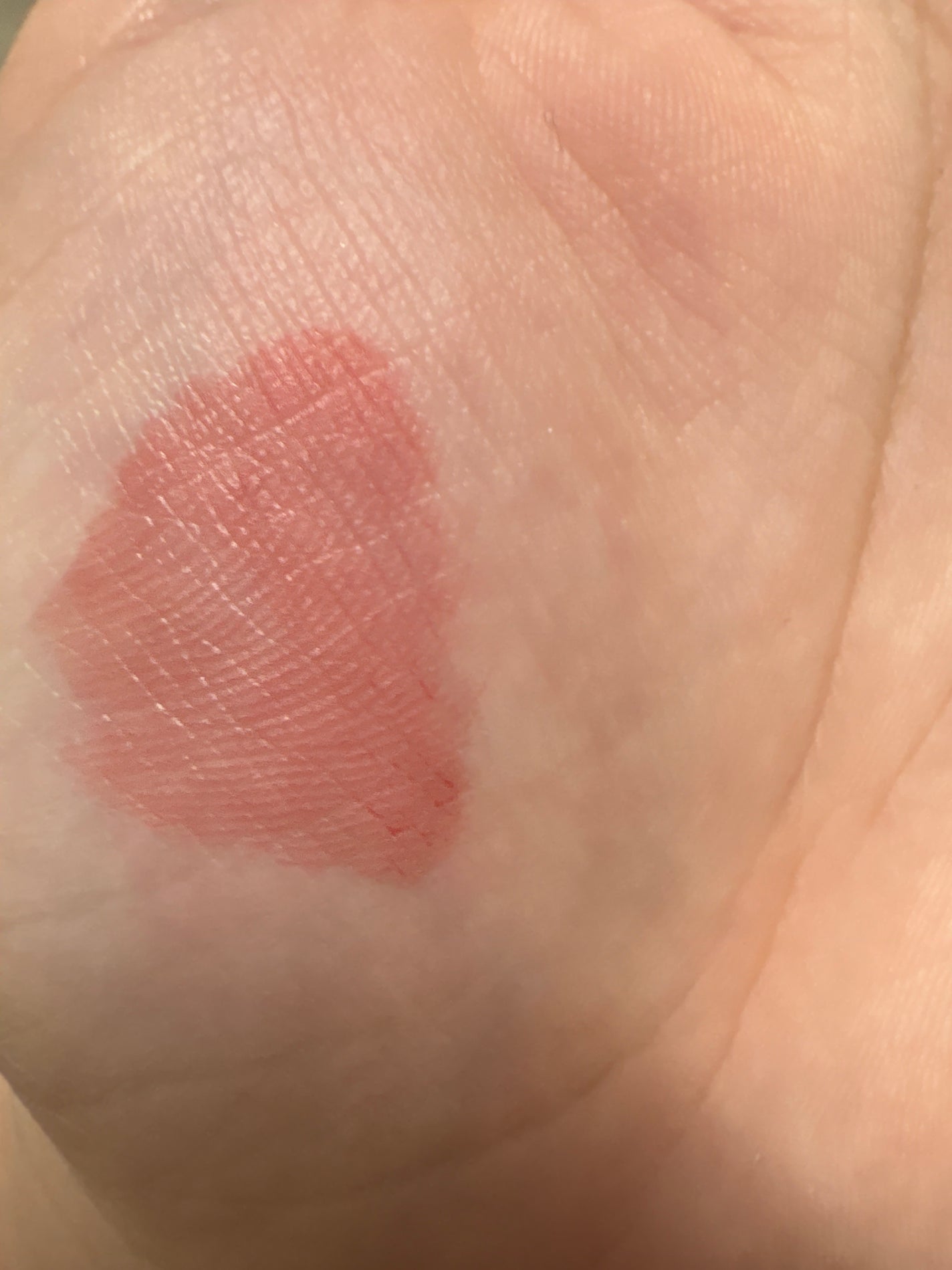 ジューシーリップティント/キャンメイク/口紅を使ったクチコミ(2枚目)