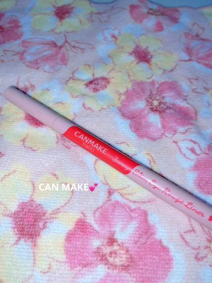 3wayスリムアイルージュライナー/キャンメイク/リキッドアイライナーを使ったクチコミ(1枚目)