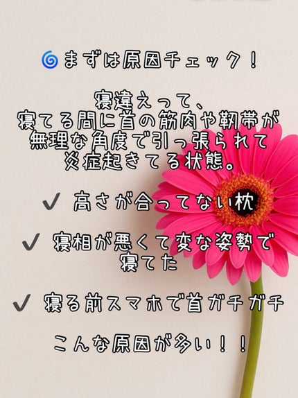 ネックサポーター メッシュタイプ/magico labo/その他を使ったクチコミ(2枚目)