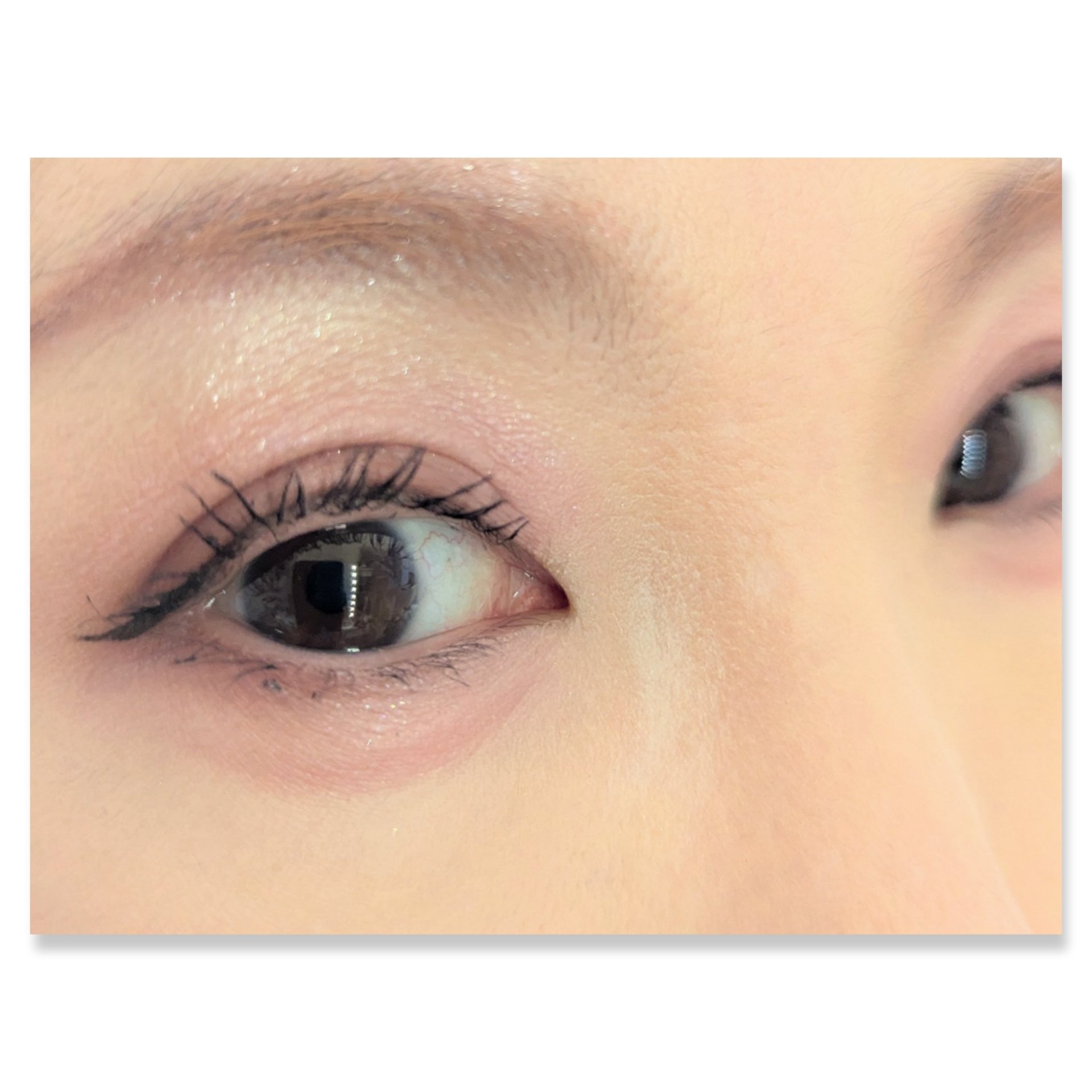 バーチャルアイズメイカー/KATE/アイシャドウパレットを使ったクチコミ（2枚目）