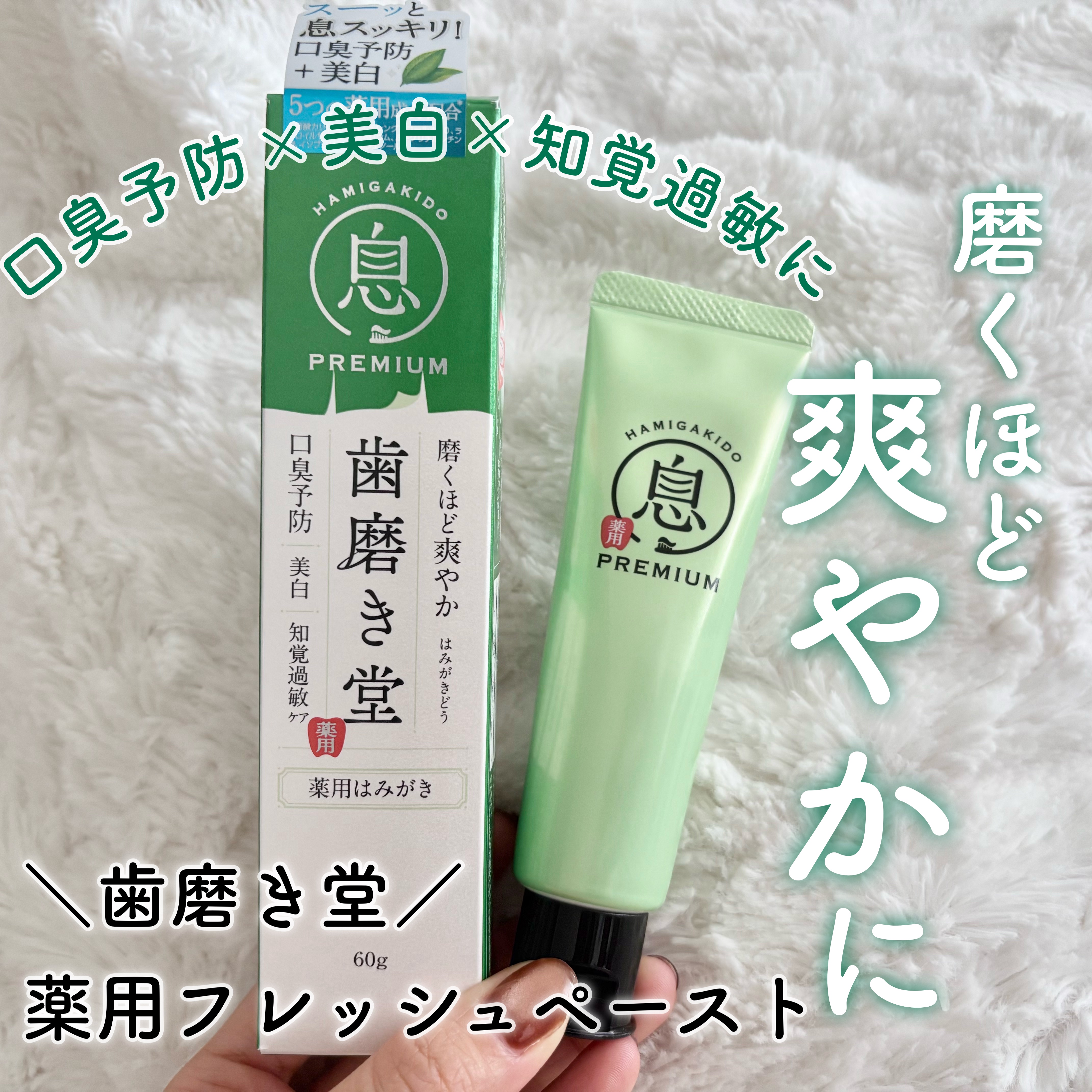 薬用フレッシュペースト【医薬部外品】/歯磨き堂/歯磨き粉を使ったクチコミ（1枚目）