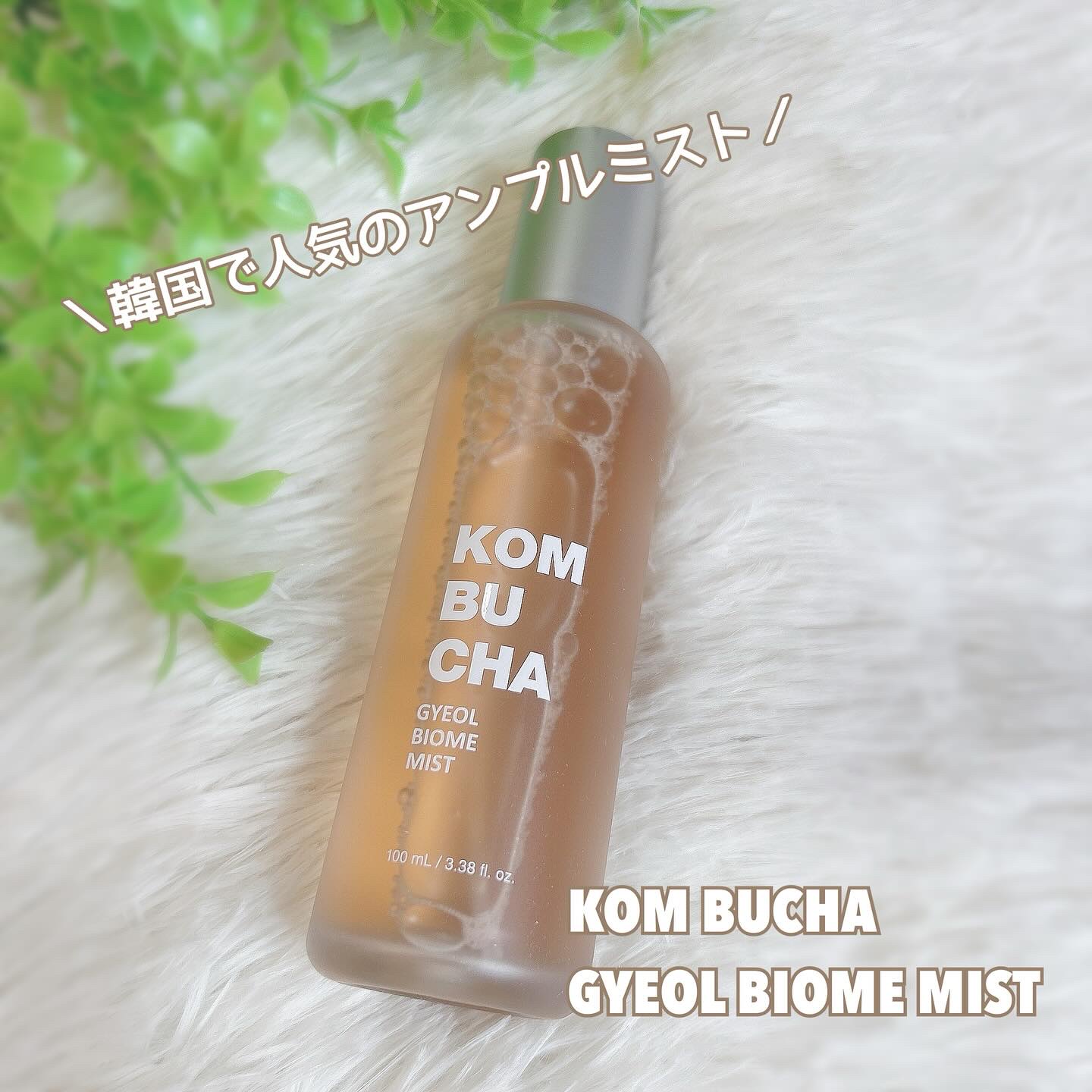 コンブチャ ギョルバイオムミスト/Elishacoy/ミスト状化粧水を使ったクチコミ（1枚目）