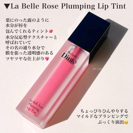 La Belle Rose Plumping Lip Tint/Dinto/口紅を使ったクチコミ(6枚目)