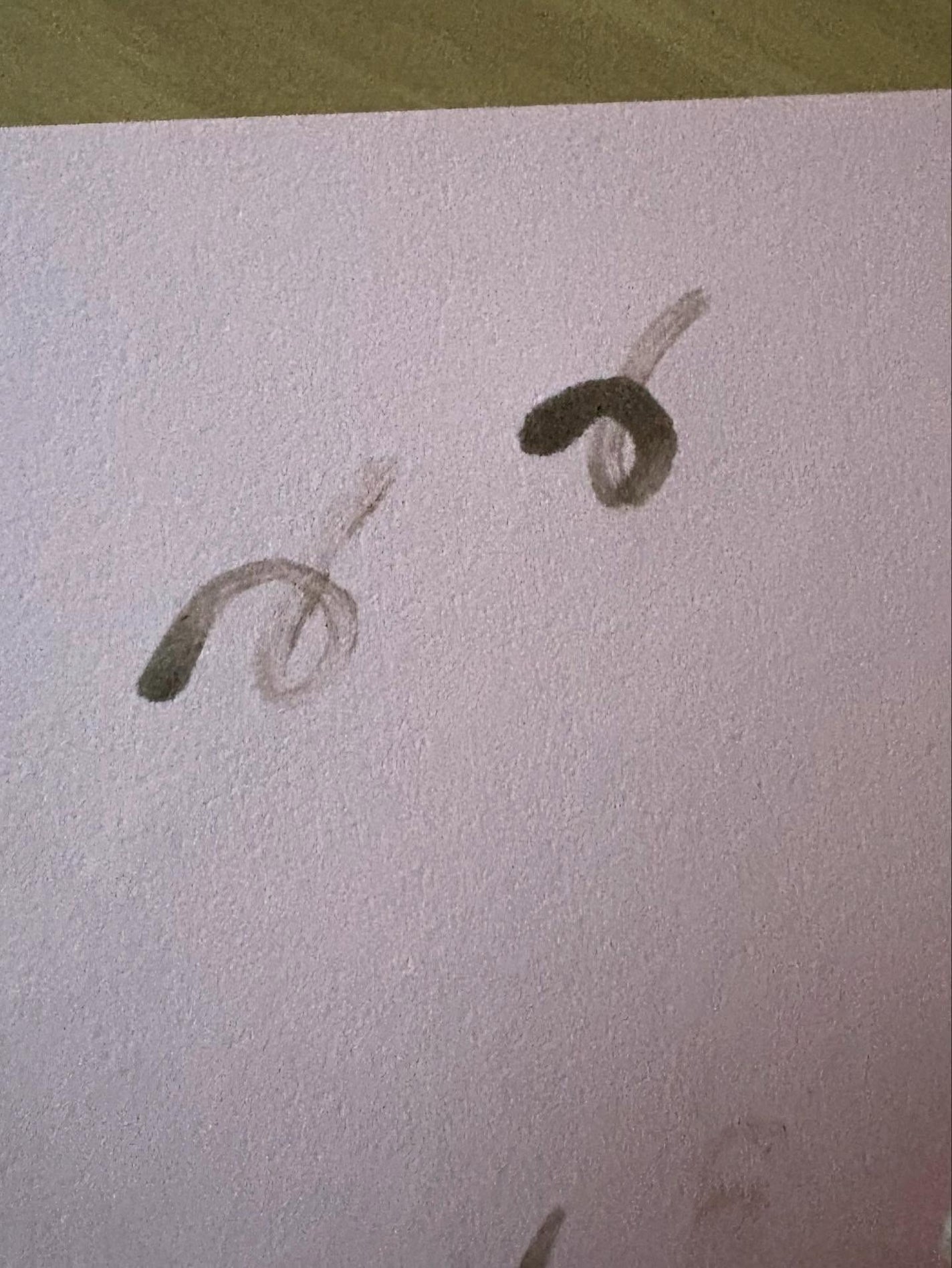 キープアイブロウ/ラッシュグランディール/眉ティントを使ったクチコミ(4枚目)