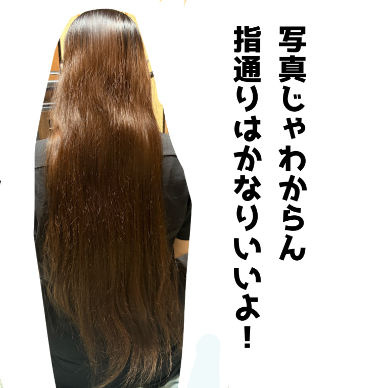 ハイダメージ メンテナンス シャンプー/トリートメント/matsukiyo CONCRED/市販シャンプーを使ったクチコミ（3枚目）