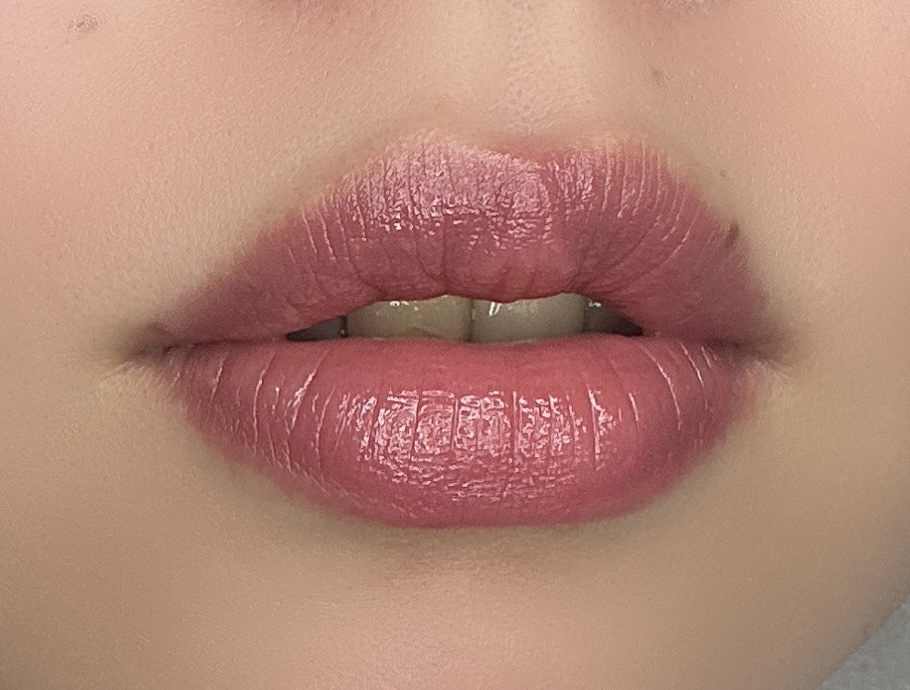 ネンマクフェイク ルージュ RO651 嘘つきローズティー(限定)/Visée/口紅を使ったクチコミ（1枚目）