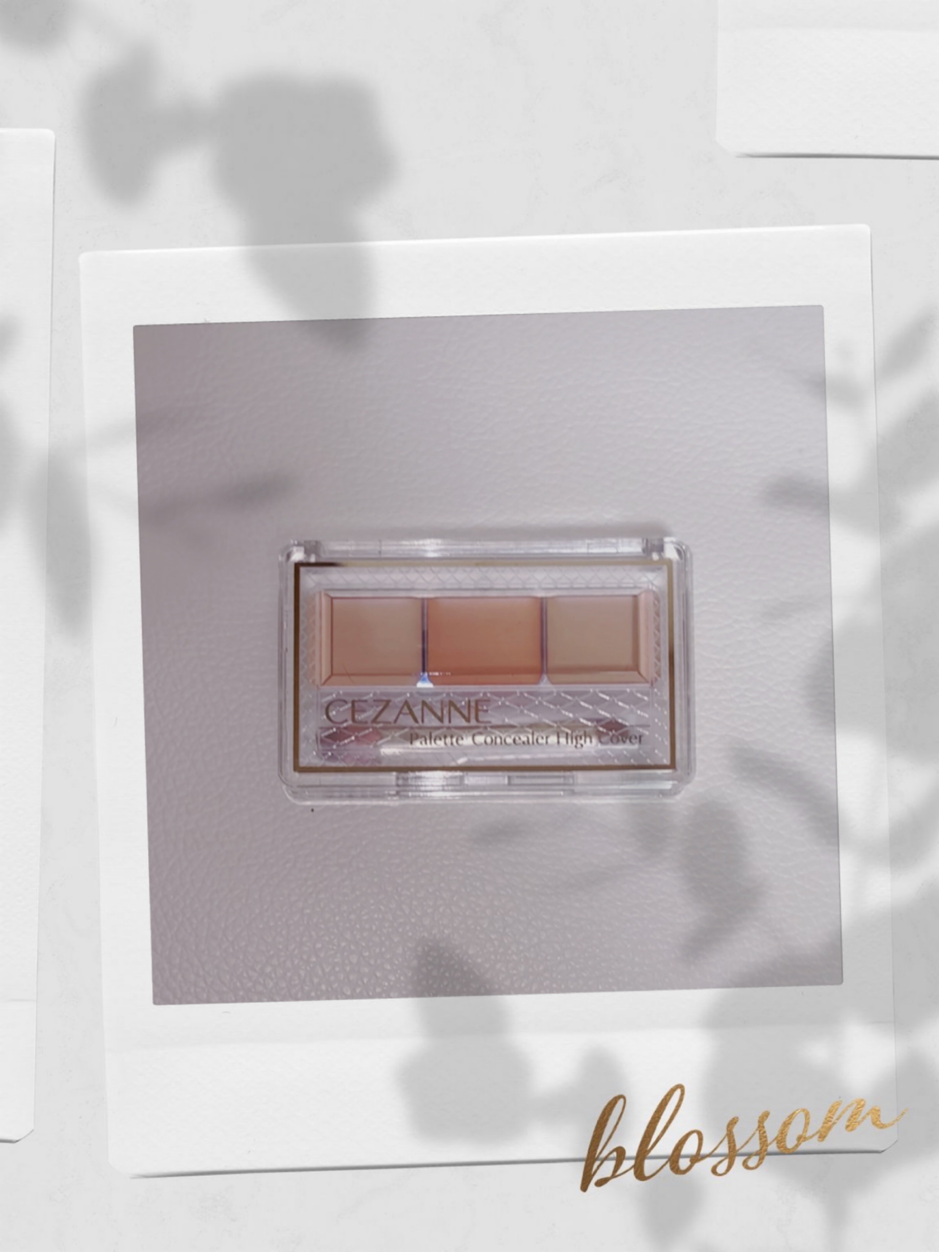 パレットコンシーラー ハイカバー 10 ベーシックトーン/CEZANNE/パレットコンシーラーを使ったクチコミ（1枚目）