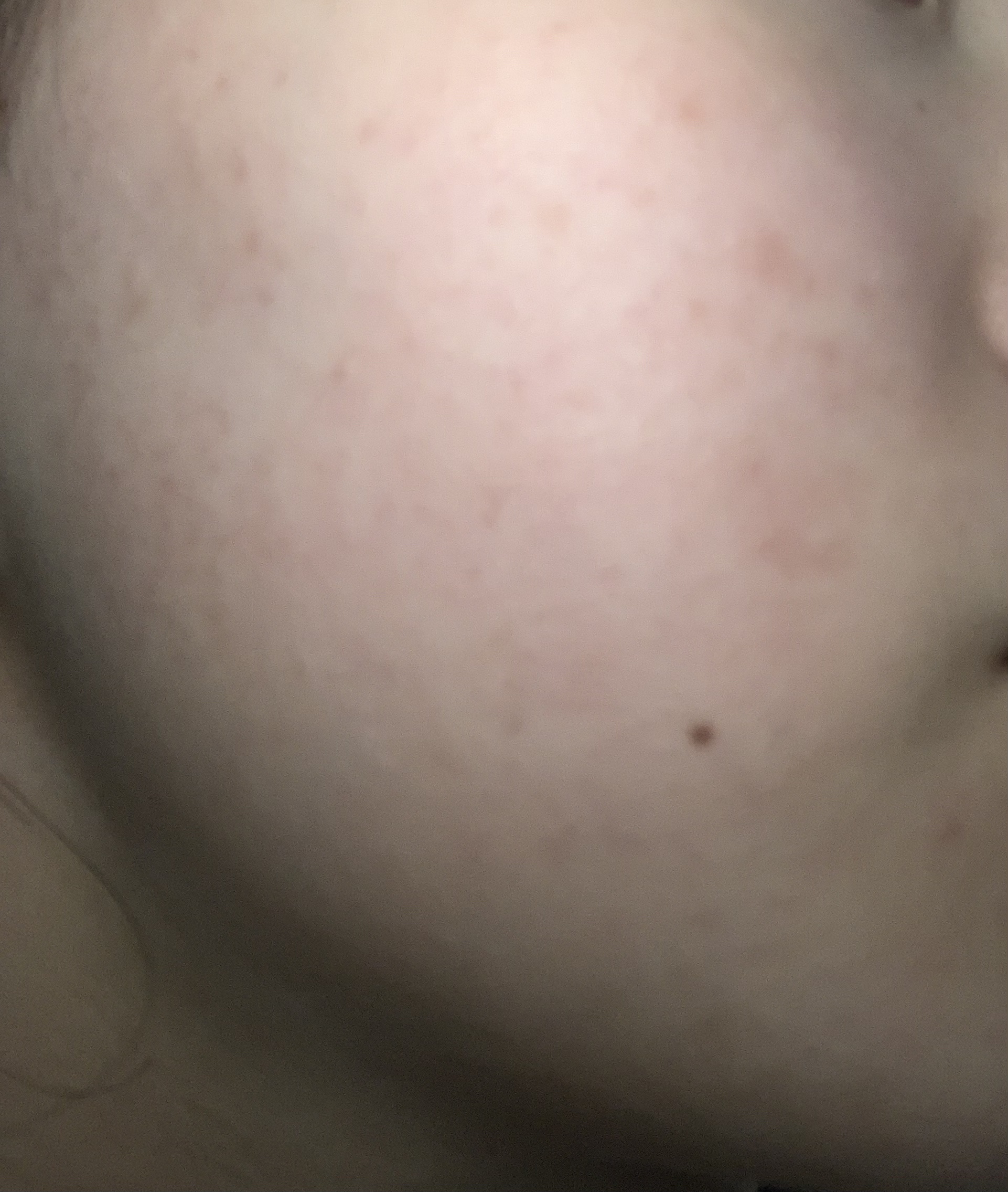 パーフェクトホイップ コラーゲンin/SENKA（専科）/洗顔フォームを使ったクチコミ（3枚目）