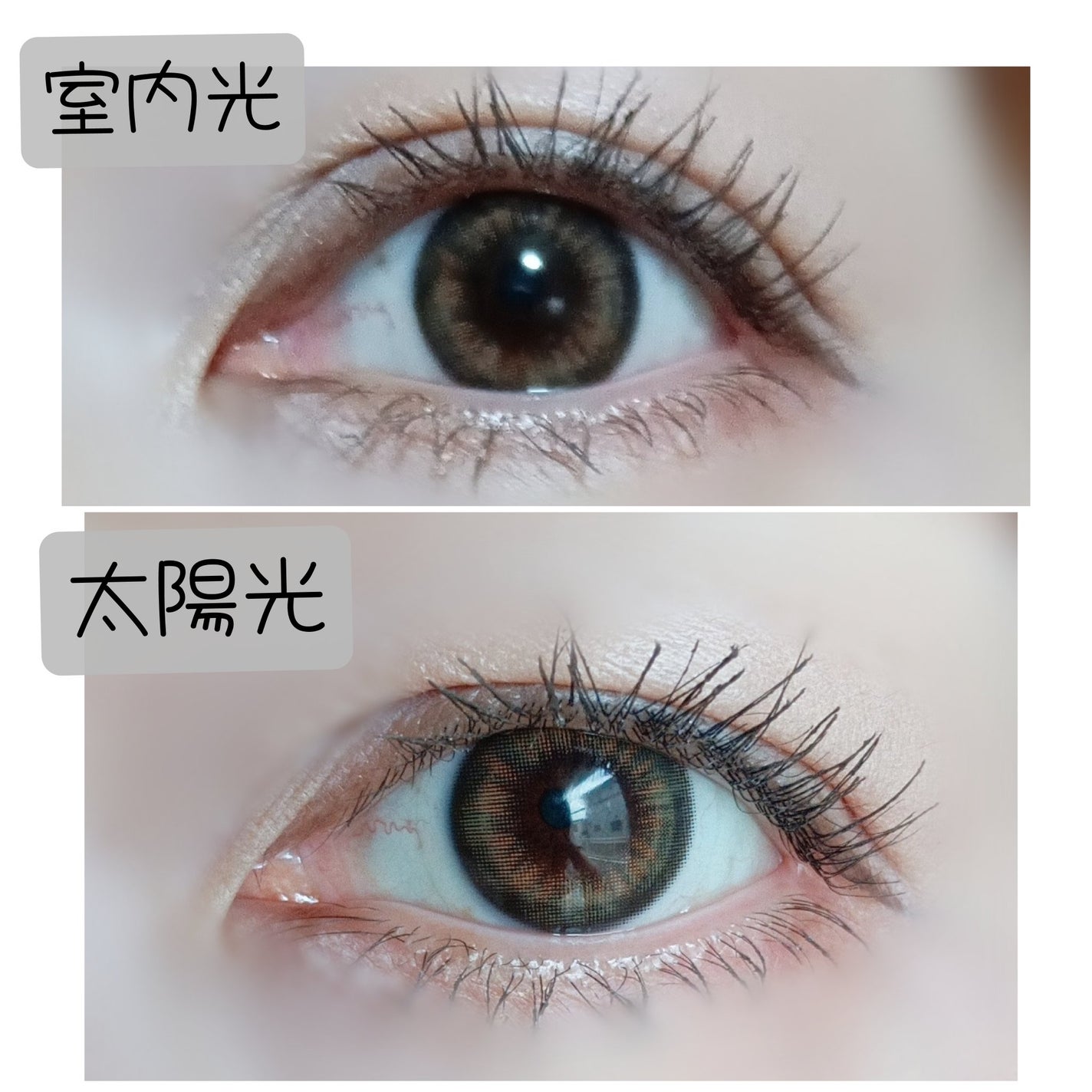 I-LENS(アイレンズ)/I-LENS/カラーコンタクトレンズを使ったクチコミ(2枚目)