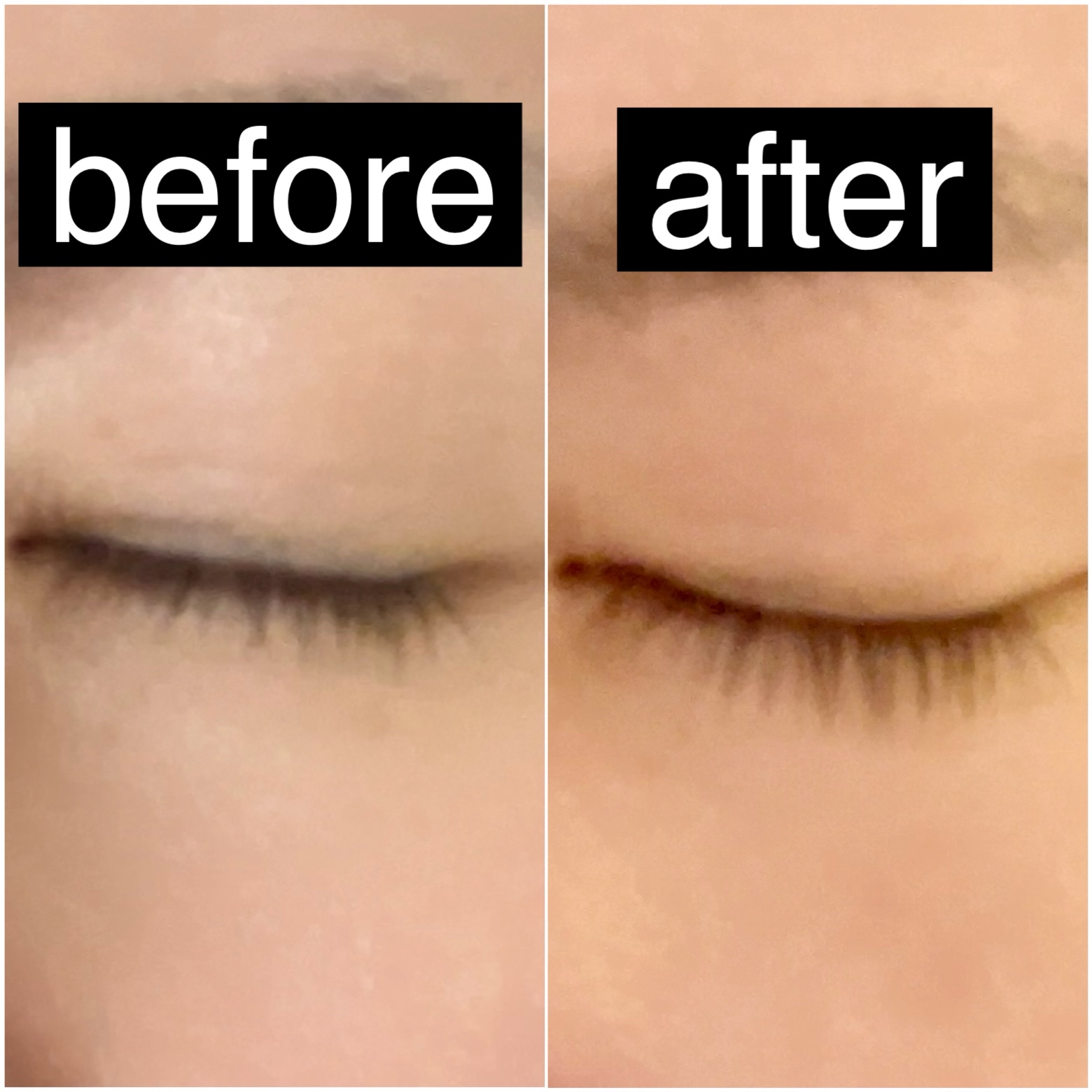 アイラッシュエッセンシャルセラム/epais/まつげ美容液を使ったクチコミ（3枚目）