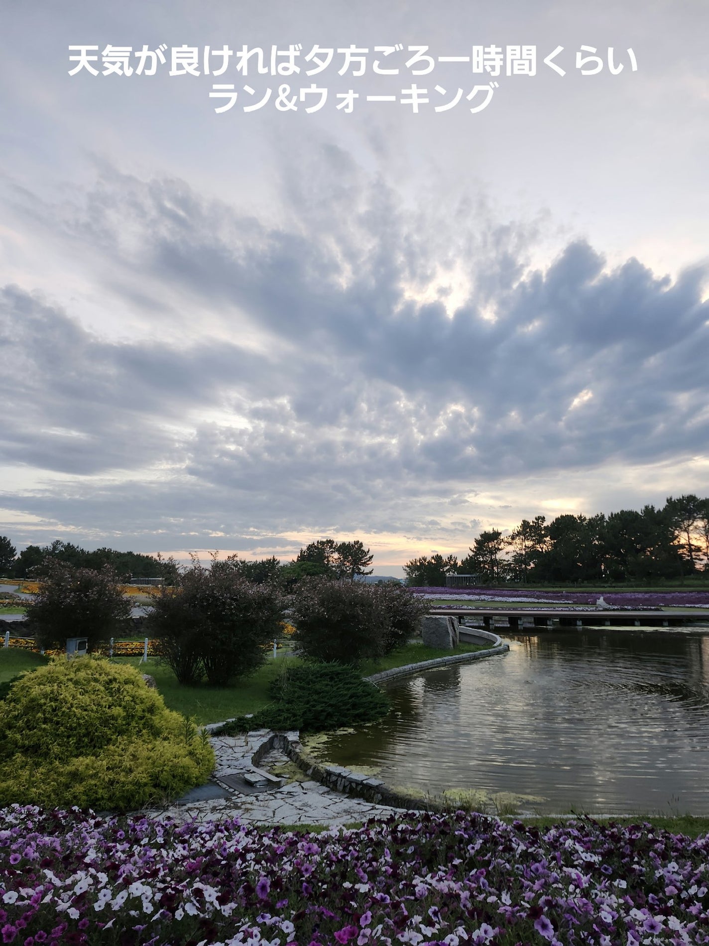 インテリアフレグランスオイル ウッディ/無印良品/その他を使ったクチコミ(3枚目)