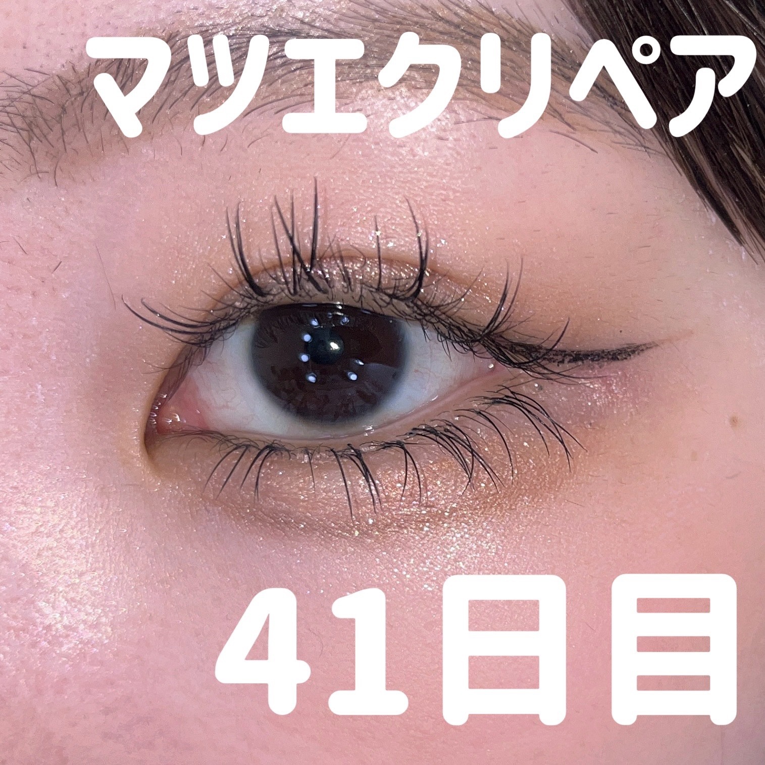 アイカラーレーション/LUNASOL/アイシャドウパレットを使ったクチコミ（1枚目）