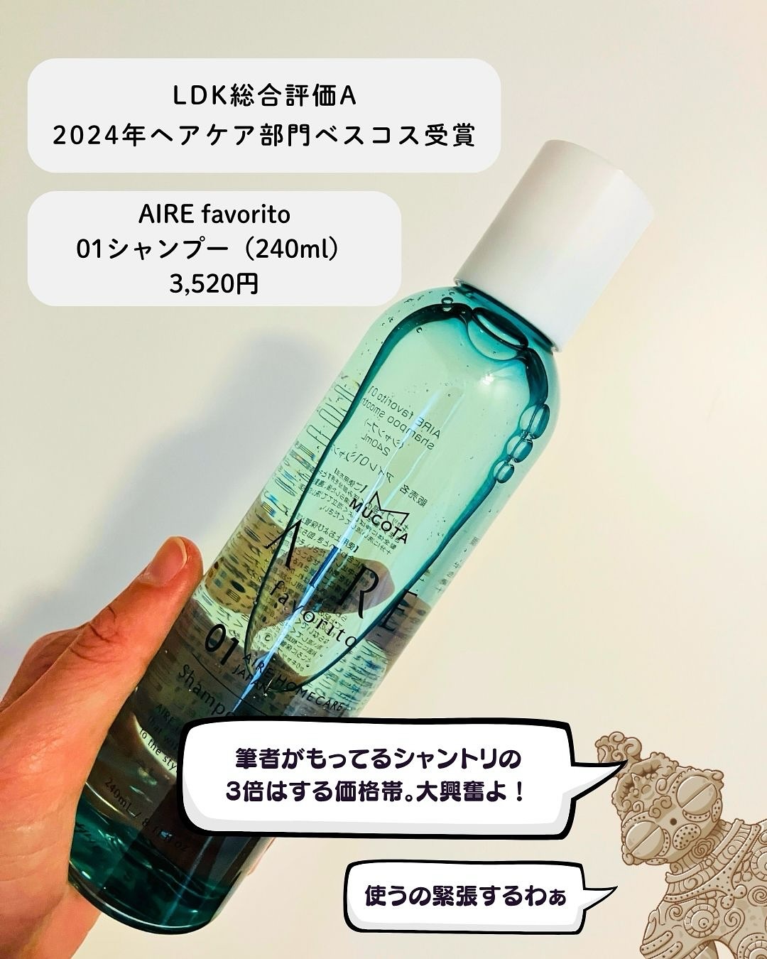 AIRE favorito 01シャンプー　S/MUCOTA(ムコタ)/サロンシャンプーを使ったクチコミ（2枚目）