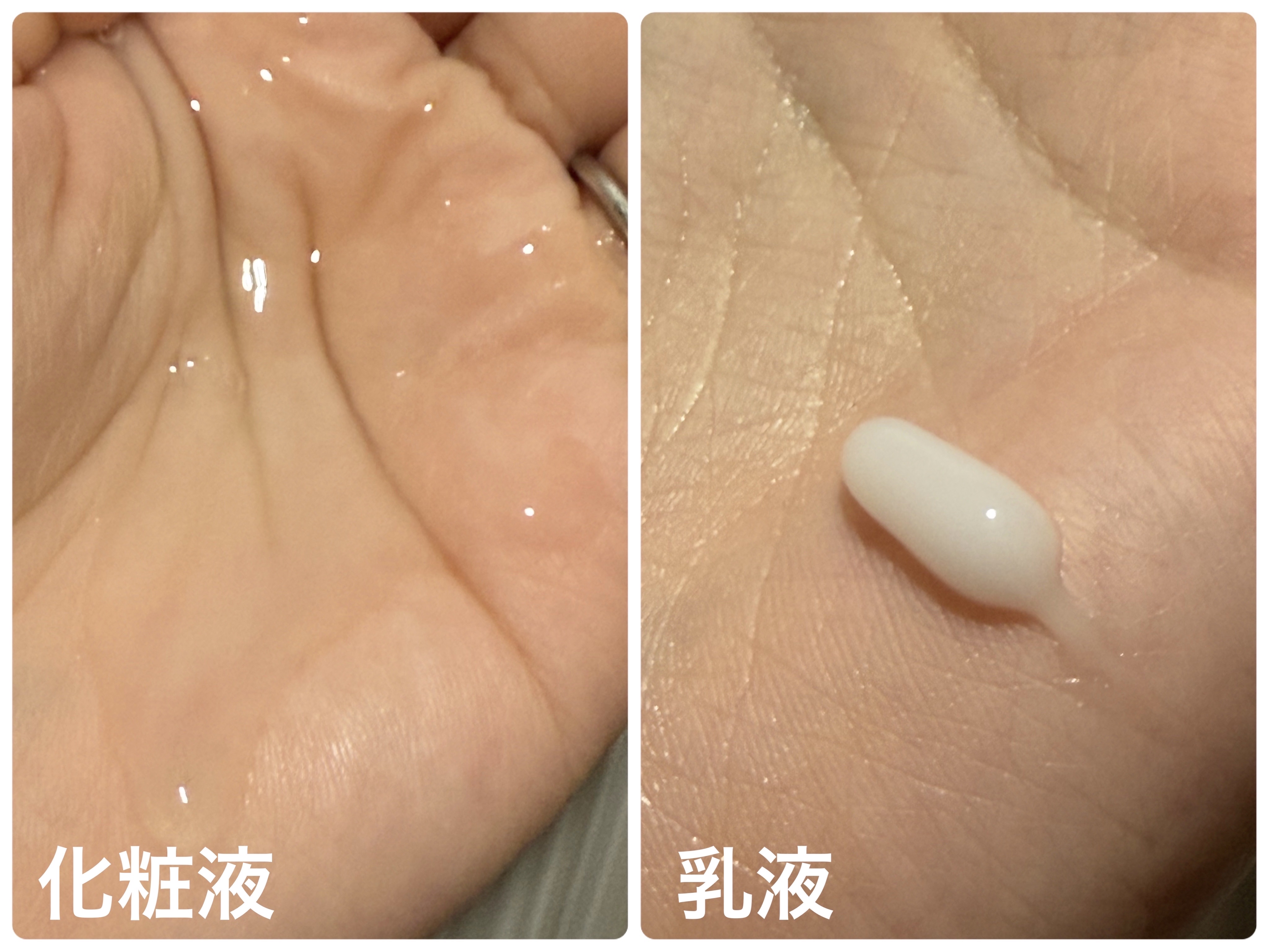 トイロ バランシングドロップ＜医薬部外品＞（化粧液）/ファンケル/化粧水を使ったクチコミ（2枚目）