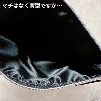 ウィンターダズル コレクション/DECORTÉ/メイクアップキットを使ったクチコミ(4枚目)