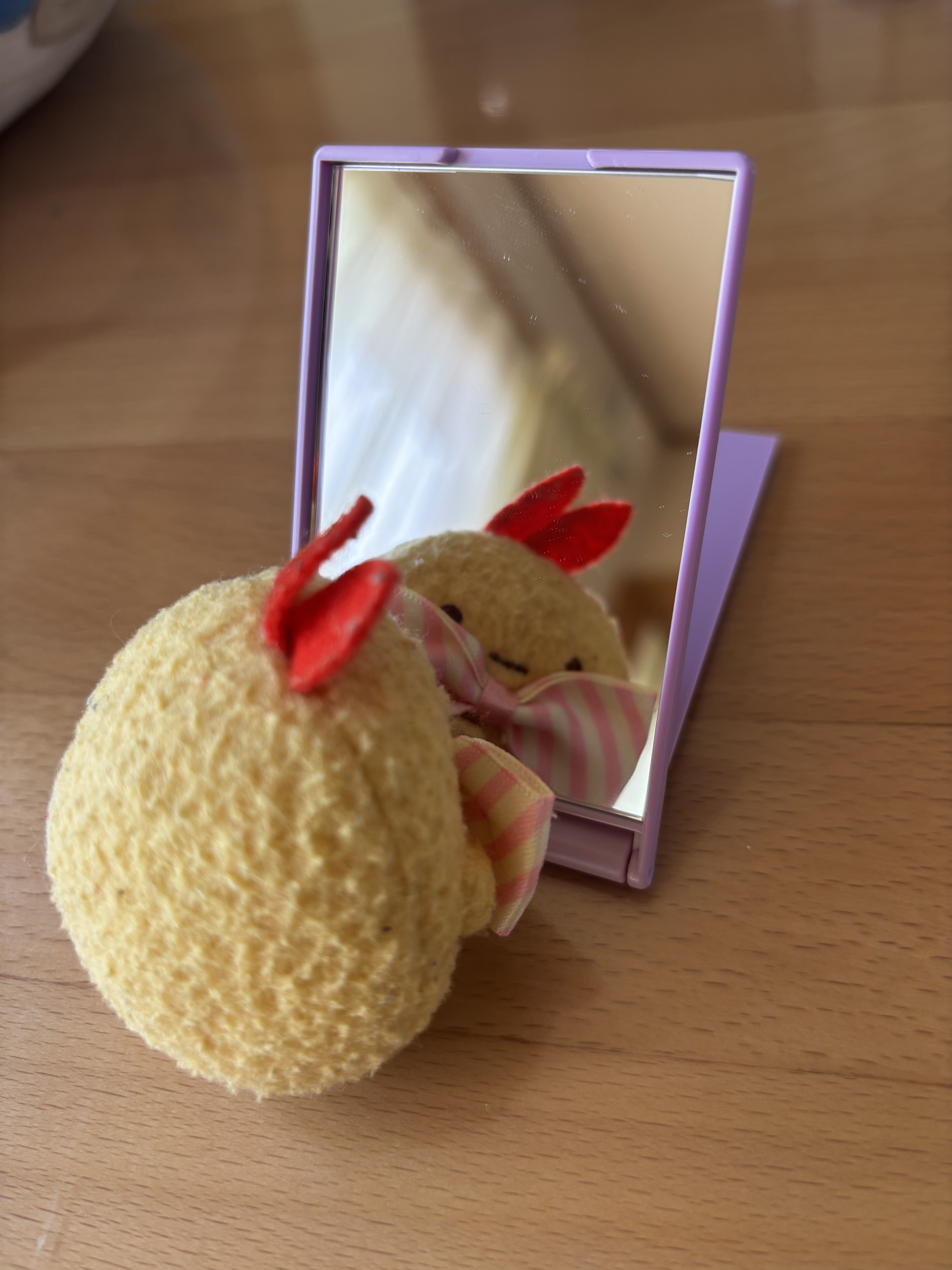 リアルックミラー/ロージーローザ/その他化粧小物を使ったクチコミ（3枚目）