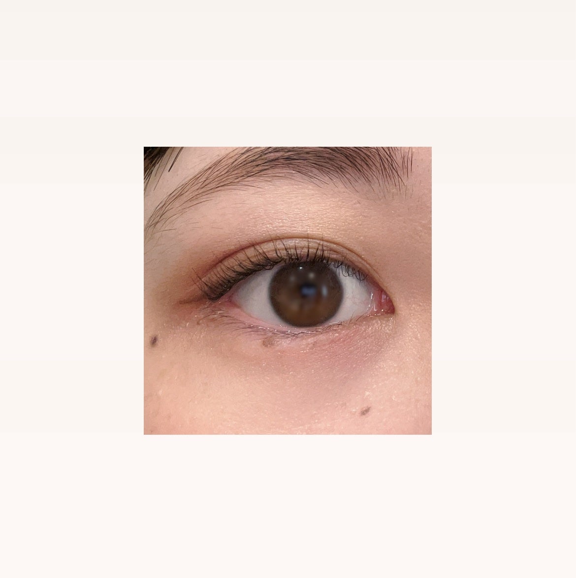 ã¢ã€ã¹ã«ã«ãã/shu uemura/ã¢ã€ã·ã£ããŠãã¬ããã䜿ã£ãã¯ãã³ãïŒ5æç®ïŒ